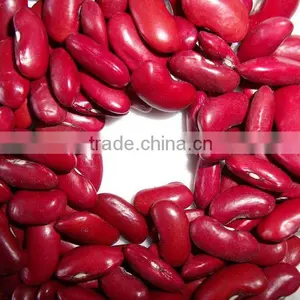 Dark Red Kidney Beans thumbnail-1