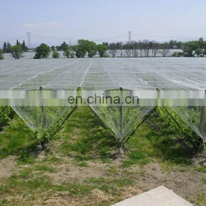 Wholesale Anti-hail Net For Orchards thumbnail-1
