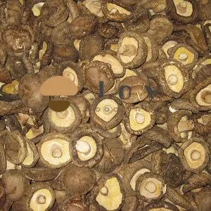 Dehydrated Dried Shiitake Mushroom Lentinus Edodes thumbnail-1