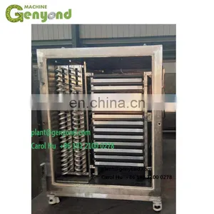 Factory Genyond Vacuum Lyophilization Lyophilized Freeze Dried FD Food Making Machine Lyophilizer Freeze Drying Machine thumbnail-4