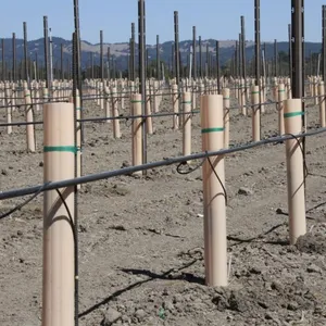 Tree Guard of UV Treated PP Plastic Correx Sapling Tree Guard/Tree Set/Tree Shelters Sheet thumbnail-3