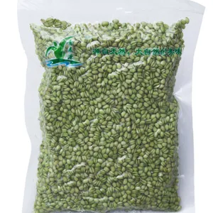 Frozen Young Wheat Berries - Sweet Burst Taste | Low GI Healthy Grain for Dessert, Bakery & Porridge thumbnail-1