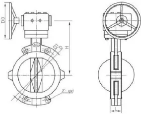 D371F4-16C Fully Lined Butterfly Valve With Worm Gear Drive thumbnail-2
