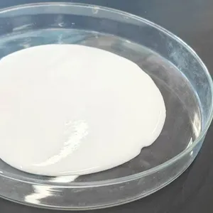 China VAE RDP Powder 24937-78-8 Redispersible Polymer Powder Best Price thumbnail-2