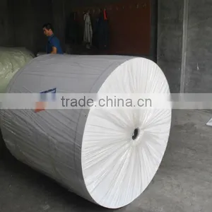Nonwoven Polyester Fabric in Asphalt Shingles thumbnail-3
