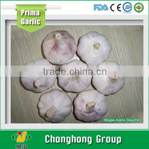 2016 New Crop Chinese Red Garlic thumbnail-1
