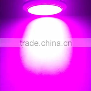 2016 New Products 12W Led Grow Light, thumbnail-3