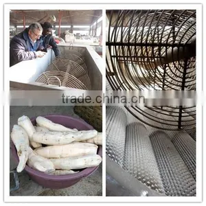 Hotasle Cassava Peeling Machine l Cassava Peeler for Cassava Flour Processing Line thumbnail-1