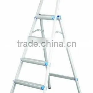 Aluminum Ladder thumbnail-1