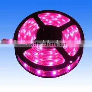 Holiday Light Led Strip(CE/RoHS/FCC) thumbnail-1