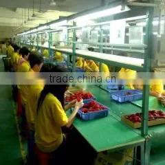 Heritek Electronic Manufactory Co., Limited company overview - view 3 thumbnail