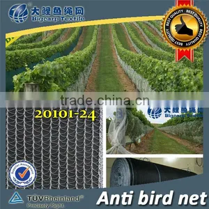 (20 Years Shanghai Factory) Hot Season , New Arrival, Agriculture HDPE Knotted Mesh Bird Control Net , 15 GSM / 20101-15 thumbnail-1