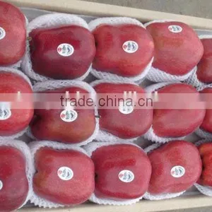 Red Delicious Apple/ Huaniu Apple thumbnail-4