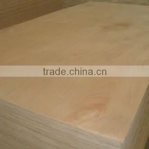 TOP EXPORTING EUCALYPTUS PLYWOOD thumbnail-1