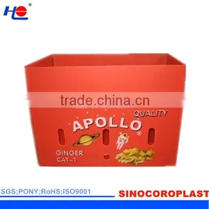 Plastic Corrugated Carton thumbnail-6