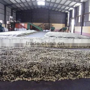 Viet Nam Jasmine Green Tea thumbnail-1