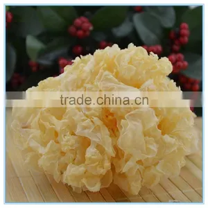 Chinese White Jelly Fungus thumbnail-3