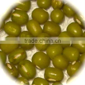 JSX in Vigna Beans Myanmar Pulses Dalian High Quality Export Green Beans thumbnail-5