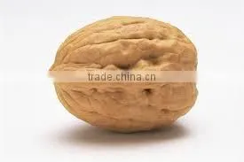 Walnuts Whole With Shell thumbnail-1