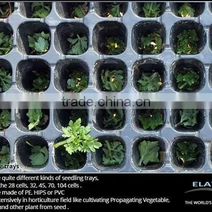 Seedling Insert thumbnail-6