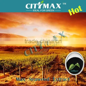 Seaweed for Sale thumbnail-1
