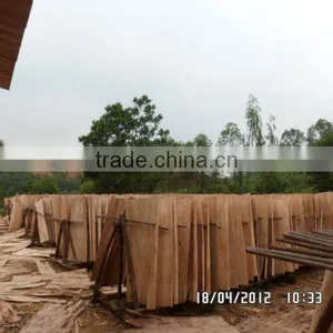 Eucalyptus Core Veneer thumbnail-1