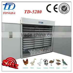 TD-5280 Full Automatic Incubator Use for Turkey Bird Farming thumbnail-1