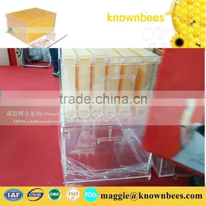 Plastic Beehive Frame Beehive Box/bee Box for Apiculture Plastic Beehive Frame thumbnail-4