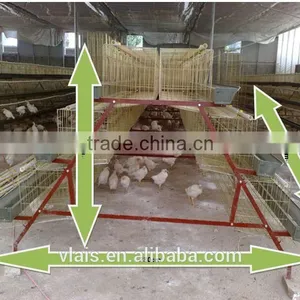 Chicken Adult Cage on Sale. thumbnail-4