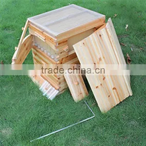 2016 New Design Honey Automatic Flow Bee Hive Kit thumbnail-3