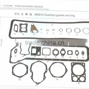 Service Kit for WEICHAI WD615 Diesel Engine, Weichai Engine Repair Kit, Weichai Engine Parts thumbnail-1