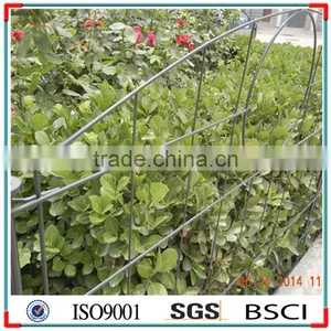 Pond Fence ---- Element Upper Arch. thumbnail-3