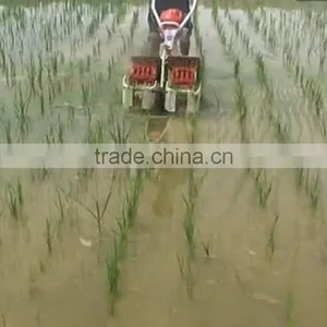 Paddy Weeder thumbnail-6