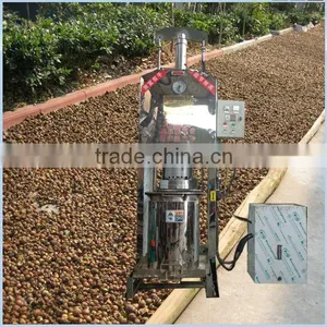 Hydraulic Camellia Oil Press Machine With Cheap Price thumbnail-1