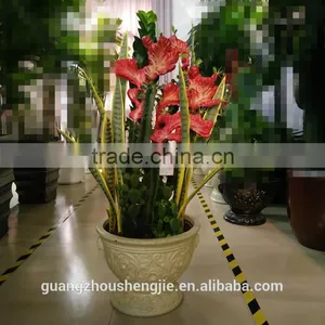 Decorative Jamaica Cactus Plant Bonsai Artificial Cactus thumbnail-1