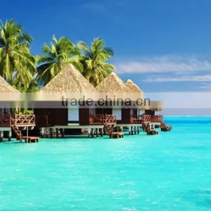Sea,beach Decoration Synthetic Thatch Roof ,artificial Thatch Roof Factory Price thumbnail-1