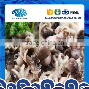 Frozen Baby Octopus China Origin thumbnail-1