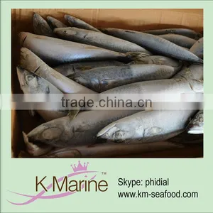 Sea Frozen Marine Fish Mackerel Japonicus thumbnail-1
