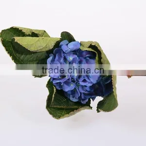 Single Stem Best Selling Fresh Wedding Flower Hydrangea Wholeasle From Yunnan,China thumbnail-1