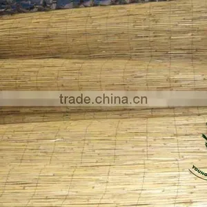 Reed Natural Yellow Fencing thumbnail-1