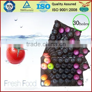 France Market Popular Wholesale 39x59cm Polypropylene Fruit Alveoles Tray For Apples thumbnail-3