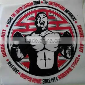 ECO-friendly T-shirt Logo Print Carton Heat Transfer for Clothings Olorful Plastisol Heat Transfer Label thumbnail-1
