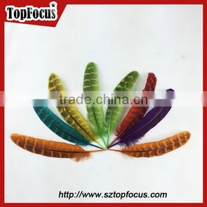 Reeves Cheap Natural Pheasant Tail Pheasant Feather for Sale thumbnail-5