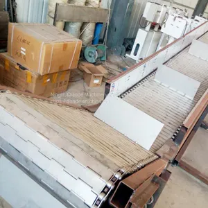 Chain Conveyor Manufacturer, Small Chain Conveyor Price thumbnail-4