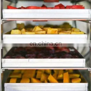 Food Freeze Dryers Sale Mini Freeze Drying Machine thumbnail-4