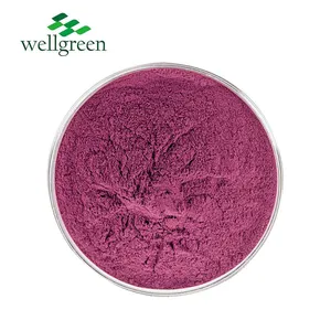FREE SAMPLE Health Supplement Anthocyanin Beverage Natural Blueberry Concentrate Juice Powder thumbnail-2