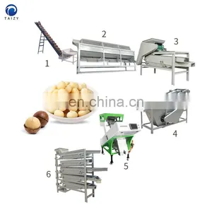 Walnut Shell Crusher Shell Kernel Separating Machine Almond Nuts Sheller Machine thumbnail-1