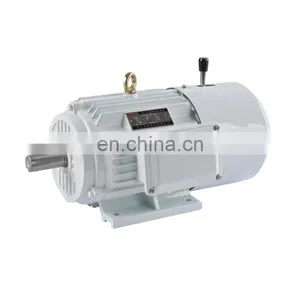 YVF2 Series Variable Frequency Adjustable-speed Converter-fed Three Phase Induction Motor thumbnail-2