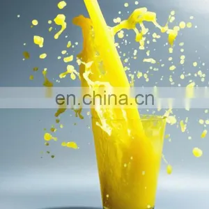 Apple Juice Belt Press / Juicer Machine thumbnail-5