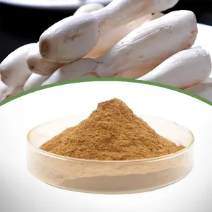 Coprinus Comatus Extract thumbnail-1